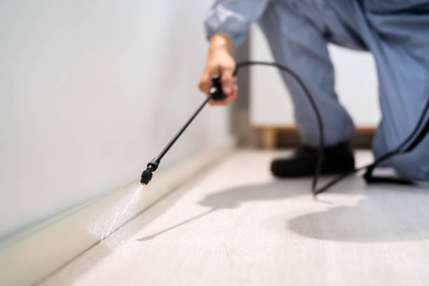 Licensed Cockroach Control service in Bamberg, SC - Nex Pest Control