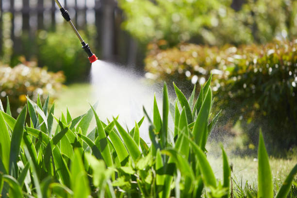 24/7 Emergency Cockroach Control experts in Bamberg, SC