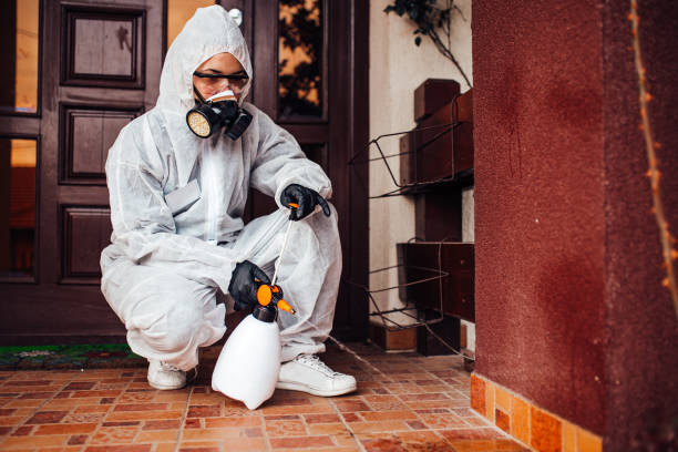 Reliable Cockroach Control contractor in Bamberg, SC by Nex Pest Control