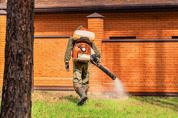 Top rated local Cockroach Control specialists in Bamberg, SC